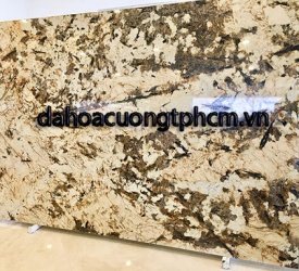 Đá Hoa Cương Granite Splendor Gold
